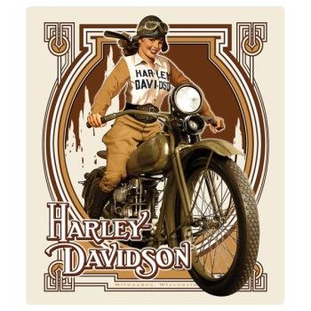 PLAQUE "NOUVEAU BABE TIN SIGN" HARLEY-DAVIDSON