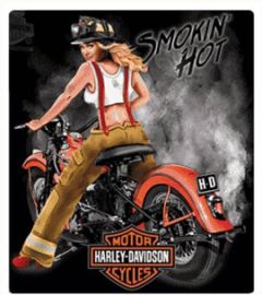 PLAQUE METAL SMOKIN HOT - HARLEY DAVIDSON - 