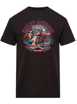 TEE SHIRT CONCESSION "ROSIE" POUR HOMMES