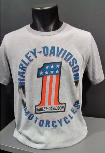 TEE SHIRT CONCESSION "ONE STREAK" GOLFE DE BRETAGNE - HARLEY DAVIDSON 