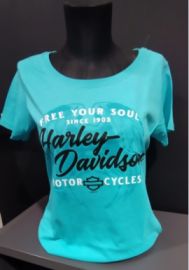 TEE SHIRT CONCESSION "BACK ROADS" GOLFE DE BRETAGNE - HARLEY DAVIDSON - 